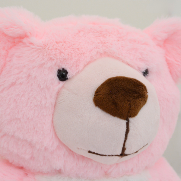 Memorial Plush Teddy Bear Keepsake - Pink